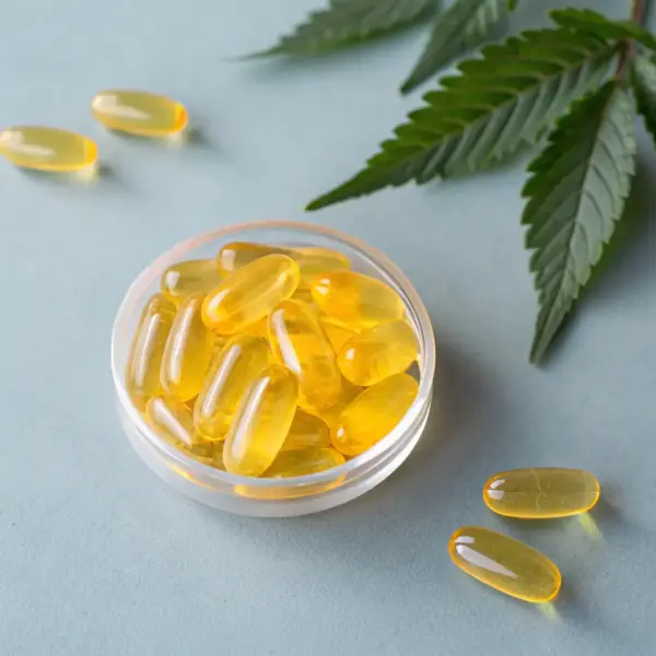 CBD Gummies Assortment
